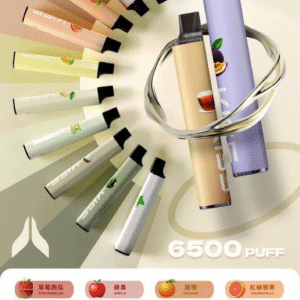 KIS5鎧斯拋棄式6500口 / 口味變化多達78種 / 十送一