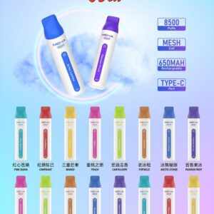 「9月新品登場🔥MEHA魅嗨8500口可充電拋棄式，買十送一！潮流口感，續航無限！」